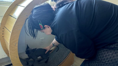 런던 거주민, 아파트 화재로 혼수상태에서 깨어나 집으로 복귀