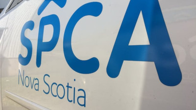 노바스코샤 SPCA, 길고양이 중성화 프로그램 잠정 중단