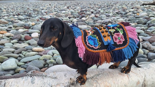 뉴스 이미지