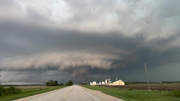 뉴스 이미지
