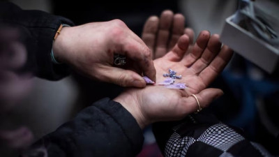 앨버타 10대 약물 과다복용 사망 사건, 비자발적 치료 도입 촉구