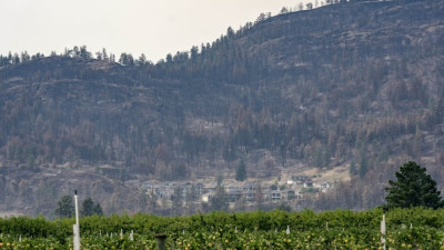 서머랜드 대부분 지역 대피령 해제, 산불 발생 1주 만에 주민 귀가 시작