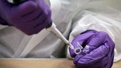 DNA 기술로 40년 만에 신원 확인된 뉴브런즈윅 여성, 캐나다 3대 주요 사건으로 기록