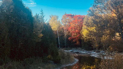 뉴브런즈윅의 아름다운 풍경, 사진으로 만나보세요