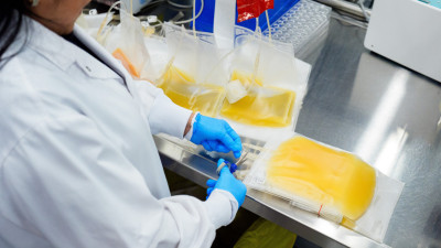 캐나다 혈액 서비스, 장기 혈장 기증자의 사망이 기증과 무관하다고 발표