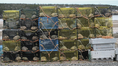 노바스코샤 해산물협회, 캐나다-중국 무역 합의 환영… 업계에 매우 긍정적 신호