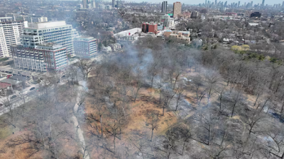 토론토 하이 파크·램턴 파크 '계획된 화재' 실시… 희귀 생태계 보호 위한 조치
