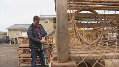 P.E.I. 봄 랍스터 시즌 일주일 앞당겨 개막… 일부 항구는 준비 부족으로 '진통'