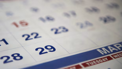 피자 데이부터 강아지 데이까지… 달력을 점령한 3,000개의 '기념일', 그 실체는?