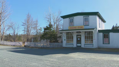 자연과 역사의 공존… 메모리 레인 마을에 '대서양 연안 수목원' 들어선다