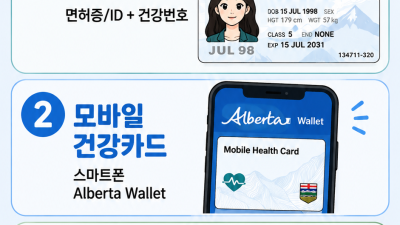 앨버타 건강보험증이 바뀝니다! 운전면허증·모바일·건강카드 3가지 총정리