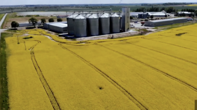 사스캐처원 농업계 “중국 방문 협상에 기대”…카놀라 관세 완화 ‘돌파구’ 주목