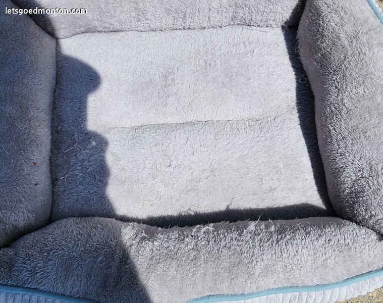 기타애매한품목 고양이 bed 작성자: 몽실이 등록일: 2026-06-19