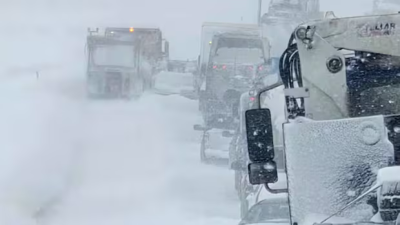 앨버타 정부, 63번 고속도로 눈폭풍 고립 사고 공식 조사 착수… 400대 차량 방치 경위 규명