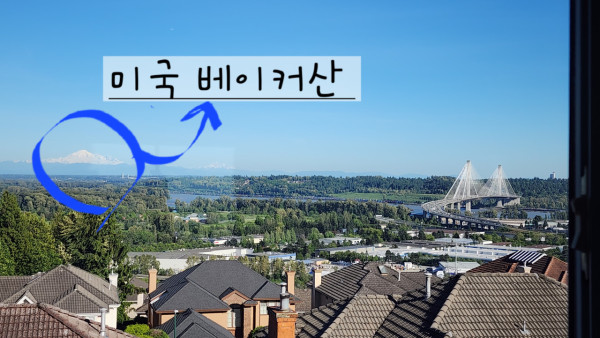 부동산 이미지
