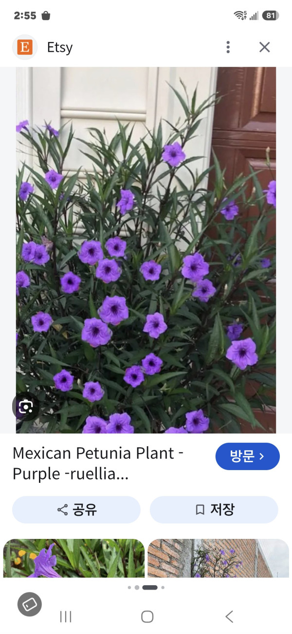 부동산 이미지