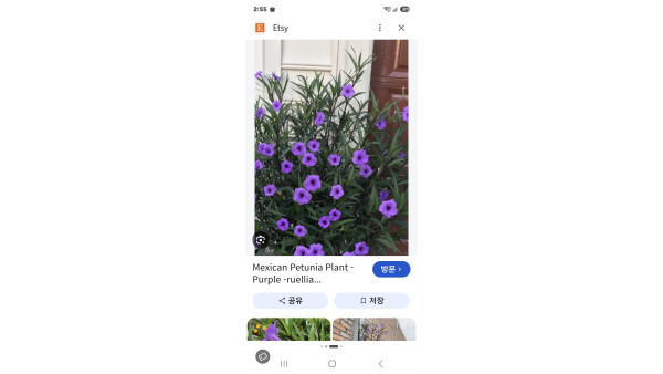 [렌트] 로히드역 초역세권 세컨룸