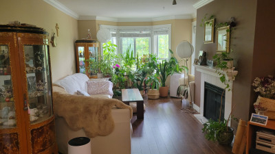 [렌트] Room rent