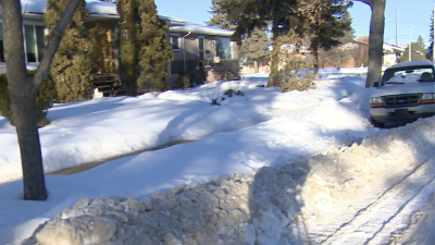 에드먼턴 주거지 제설 작업 본격 시작… 견인 대신 벌금 폭탄 주의