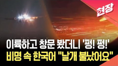 델타항공, 이륙 직후 '엔진 화재' 긴급 회항… 날개에 불났어요 기내 속 한국인 비명